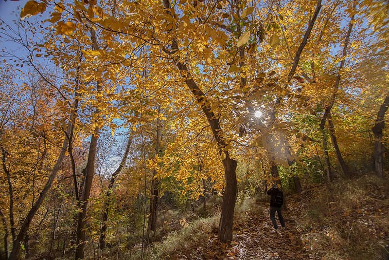 روستای قاهان در پاییز