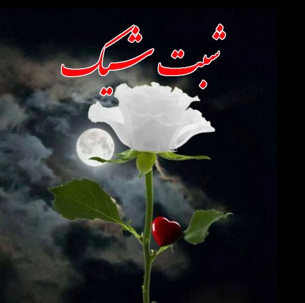 شب بخیر عاشقانه ادبی