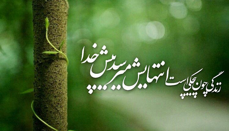 پیام در مورد طبیعت و پیام هایی در مورد  قشنگیی های طبیعت