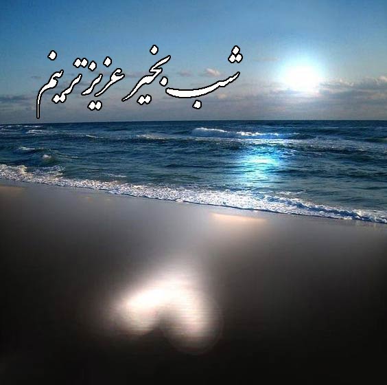 پیام کپشن شب بخیر با کلاس