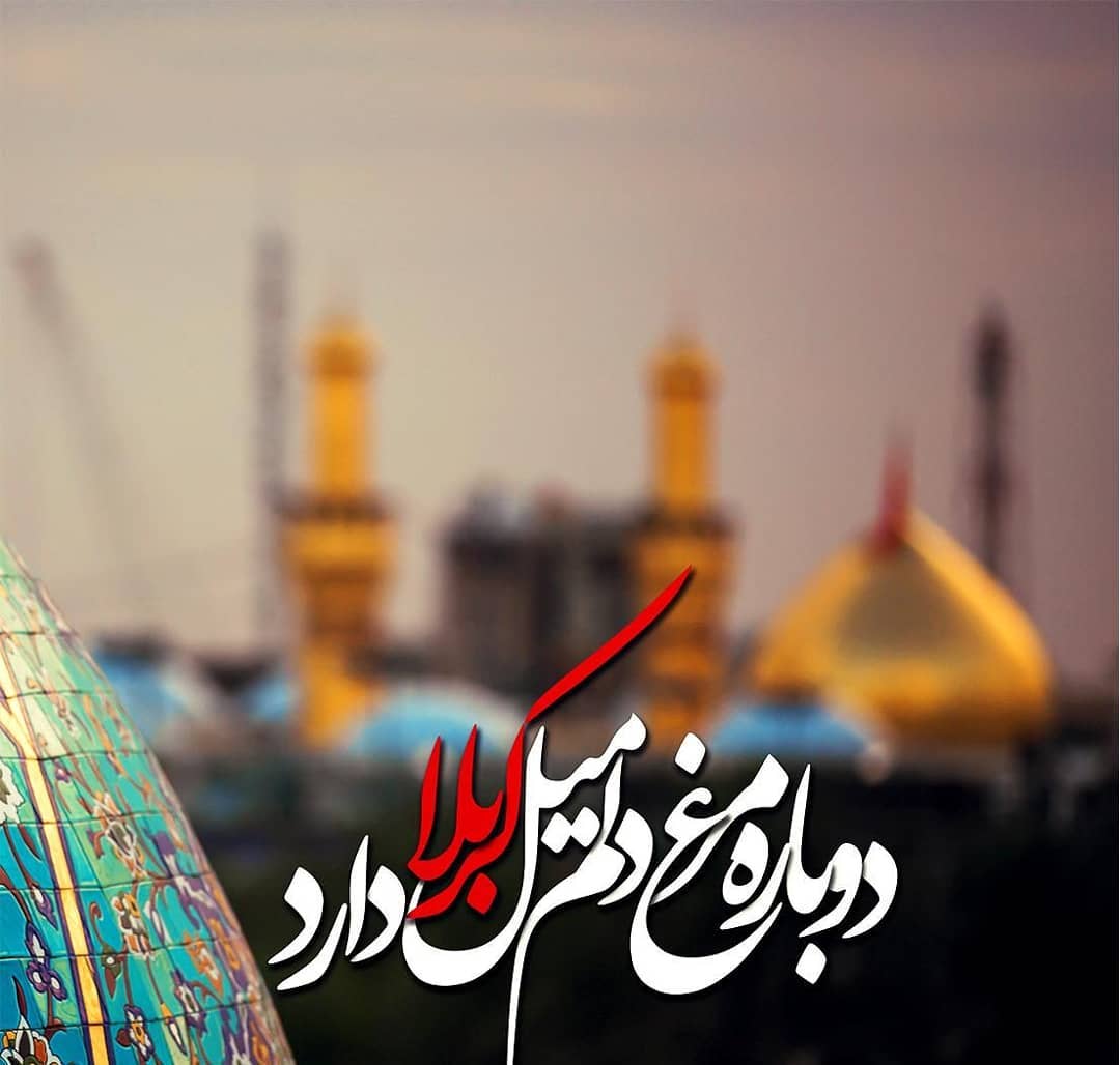 پیام دلتنگی برای کربلا و زیارت امام حسین (ع) با اشعار و پیام های احساسی