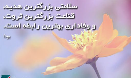 پیام های در مورد سلامتی و تندرستی