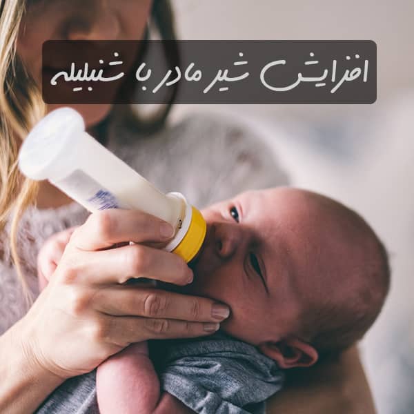 خواص شنبلیله، خواص شنبلیله خشک، خواص شنبلیله برای رحم، خواص شنبلیله برای چاقی