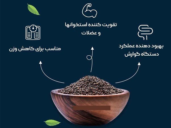 دانه چیا چیست و چه زمانی برای کاهش وزن بهتر است از آن استفاده کنیم؟